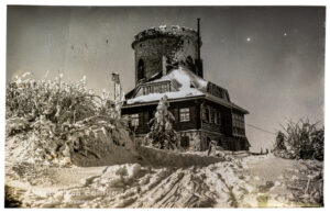 DSC06850-Enhanced-NR-Edit